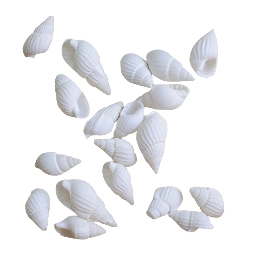 Natural Shell Ornaments Shells Sea Shell Seashells Decor Conch Mini Conches Wedding Crafts Ornaments Home Natural Table Beach Decorating Ocean Large