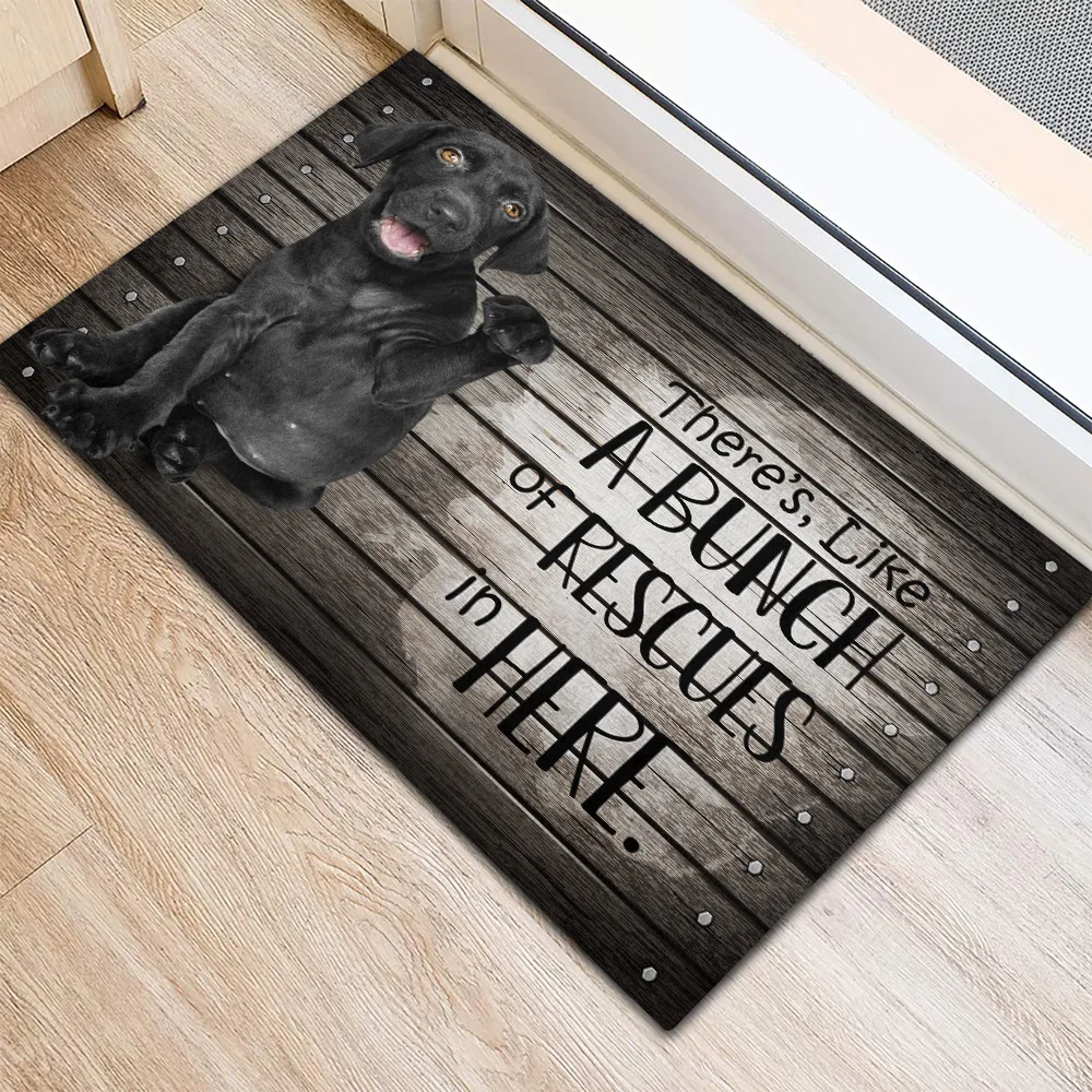 Tapis absorbant antidérapant pour chien de compagnie, impression 3D, décor  mignon Labrador Doorvirus, tapis de glouton