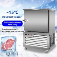Dumpling blast freezer shock freezer -45 quick freezer 5 layers mini blast freezer price CFR BY SEA 1