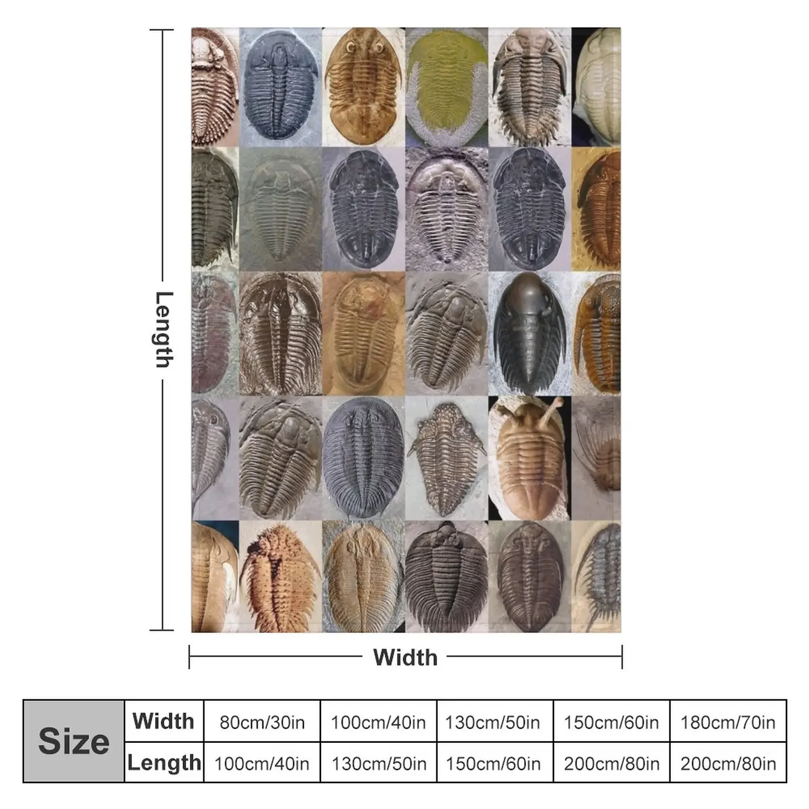 �￱�� ������ ���, �ε巯�� ���� ����, ��� ħ��