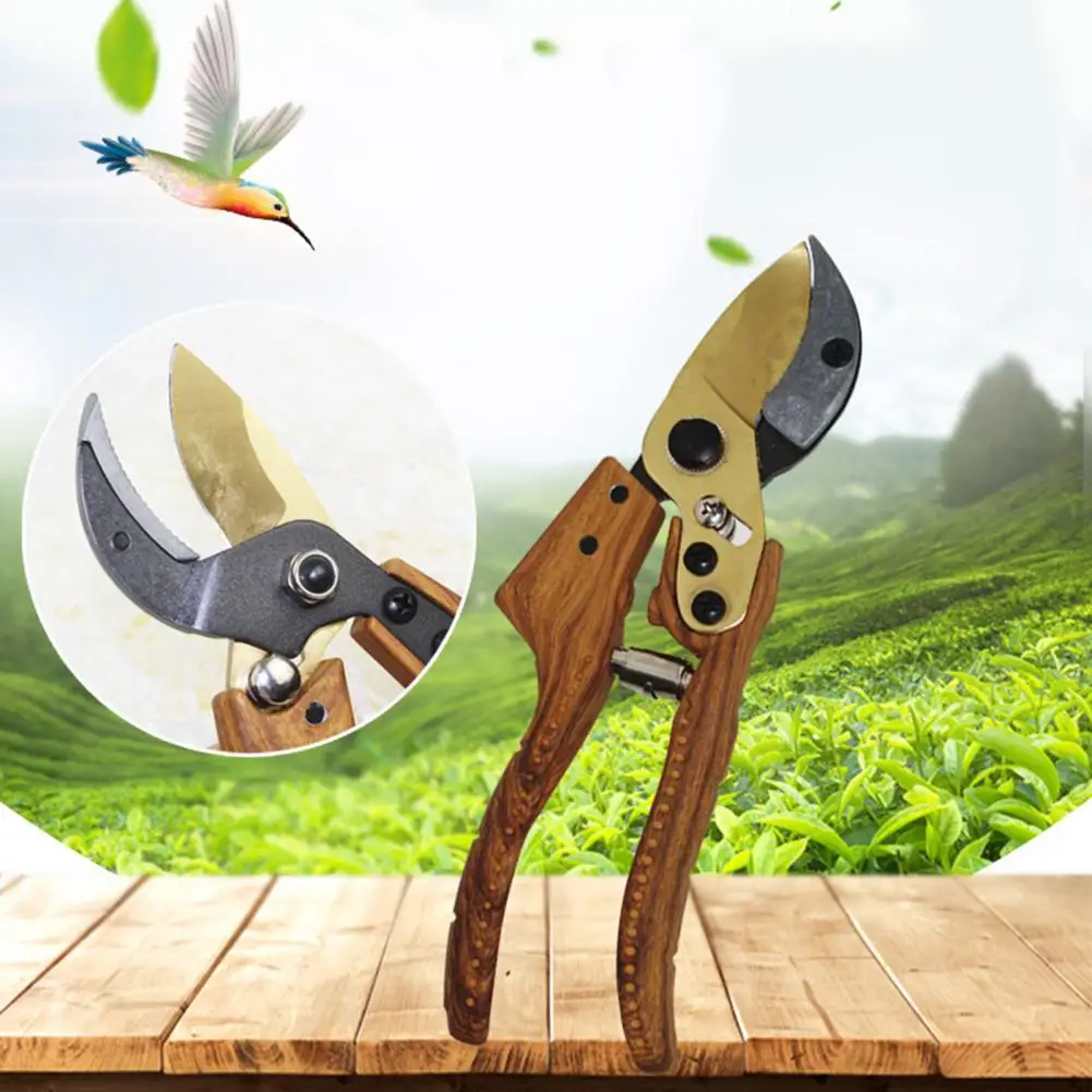 Bonsai Scissor Ergonomic Handle Sharp Blade Gardening Scissor Steel