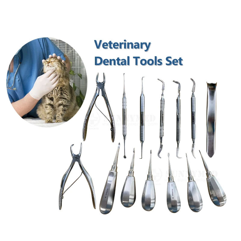 

SY-W064 Veterinary Surgery Set Veterinary Surgical Kit for Veterinary Mouth Examination den tal Tool Set