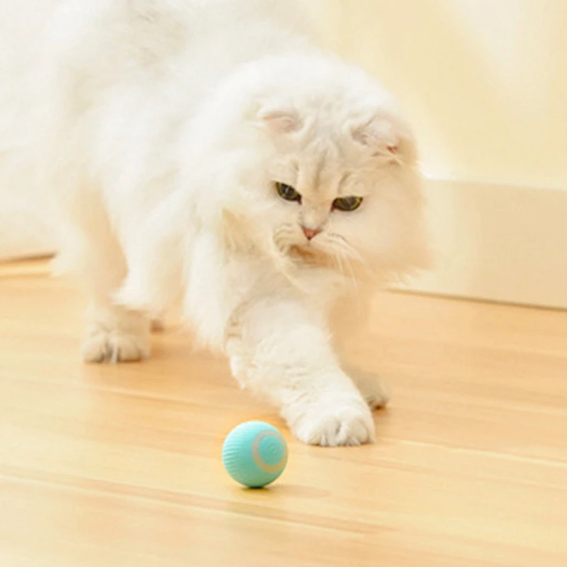 스마트 고양이 장난감 자동 360 ° 셀프 롤링 볼, 고양이 훈련용 전기 고양이 장난감, 자체 이동식 새끼 고양이 실내 놀이용 장난감