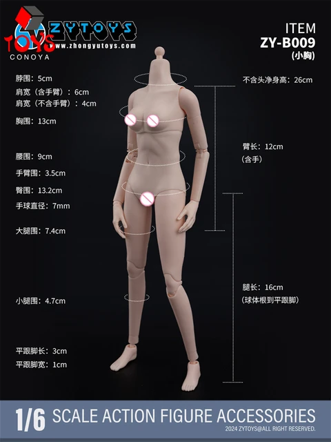 SUPER FLEXIBLE BODY フィギュア Amazon.com: 1/6 Scale Male Body,JIAOU Doll 12inch Super