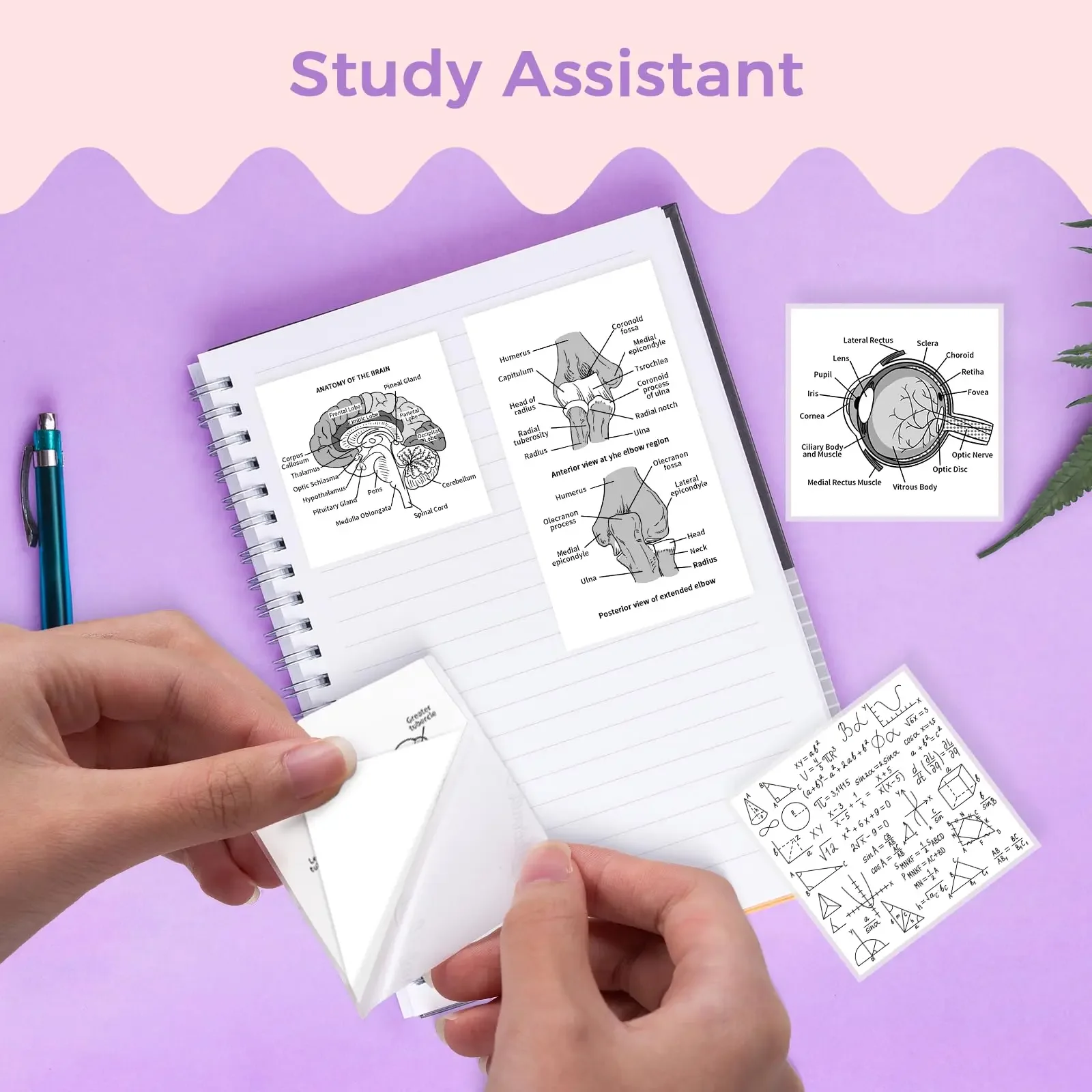 Mini Thermal Paper Stickers Width 53mm,Total Length 3.5m,Compatible With M02/T02 Wireless Bluetooth Inkless Printer Photos Notes