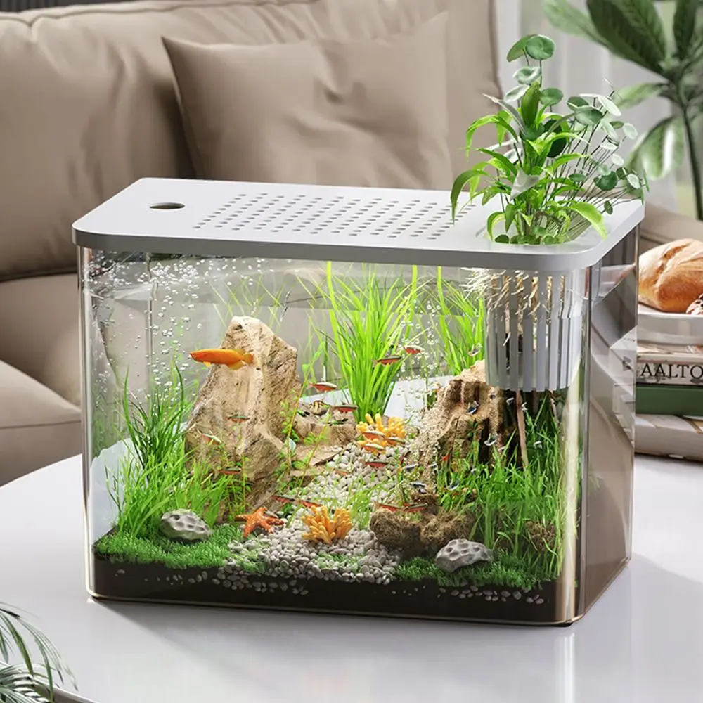 Desktop Aquarium with Lid 3