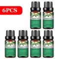 6pcs Peppermint