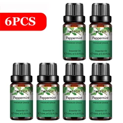 PHATOIL 6 - Piece Pure Essential Oil Collection: Lavender, Eucalyptus, Peppermint, Tea Tree, Orange, Lemongrass for Aromatherapy and Crafting (6pcs Peppermint)