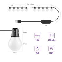 Tuya Smart WIFI G40 LED Bulb String Light USB 15M 25 Blubs Fairy Lights Christmas Bedroom Outdoor Garden Decor Festoon Garland - Image 2