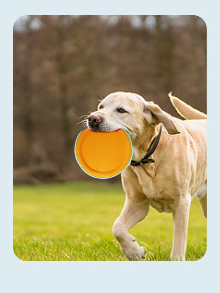 Nylon Fabric Dog Flying Disc 5