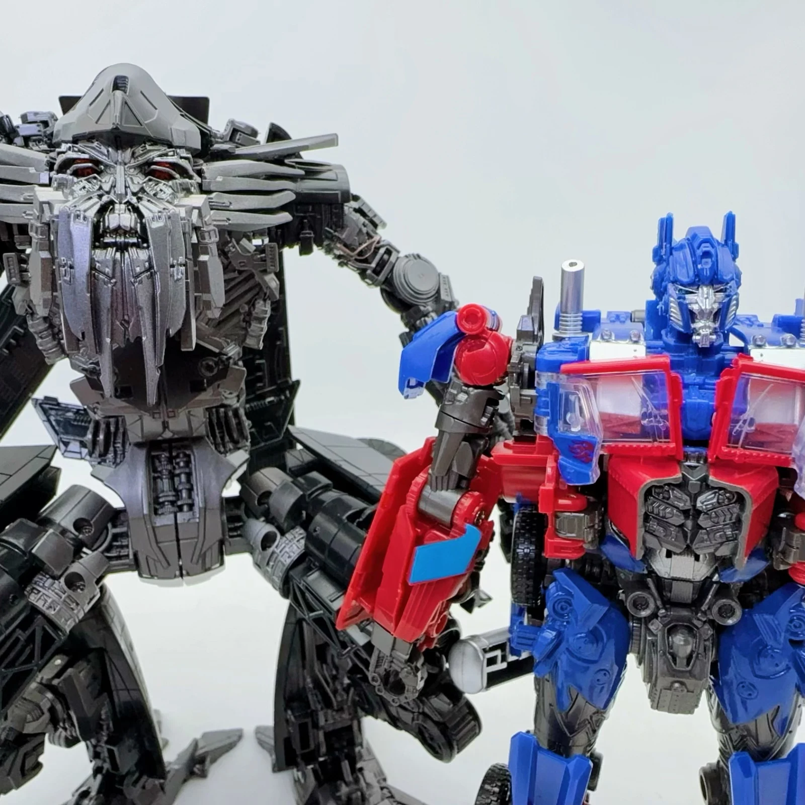 ハウオリ この色でこそ Haworthia rava aff., MBB6902, N of Zuurberg