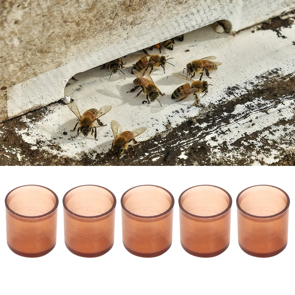 500Pcs Plastic Brown Cell Cups Queen Rearing Honey Bee Beekeeping Supplies
