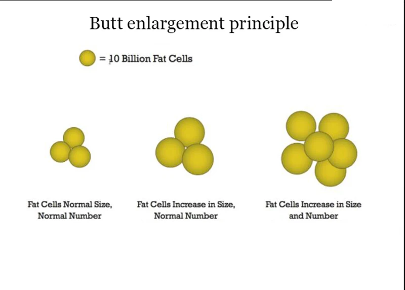 Buttock/Breast Sexy Hip Enlargement Essential Oil Cream Effective Slimming Firming Lift Up Butt Skin Care Beau_voghion.com