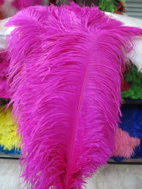 10 Pcs 45-50 cm/18-20 inch Black Wedding Ostrich Feathers Crafts