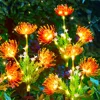 IP65 Waterproof Garden Lights Outdoor LED Solar Landscape Lamp for Garden Pathway Yard Lawn Backyard Home Decoration Flower Ligh 3