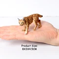 Lynx