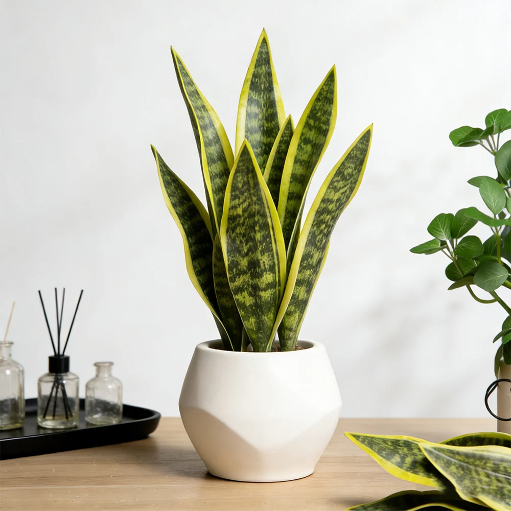 32/37cm Fake Snake Plants Artificial Tiger Piran Faux Succulents Plant Plastic Sansevieria For Home Balcony Office Gift Decor 3