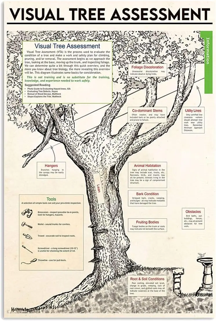 

Визуальная оценка дерева JIUFOTK, металлический знак для садоводства, знания, постеры для офиса, Декор для дома, клуба, комнаты, Настенный декор табличка 8x12