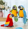 Talking Parrot Plush Pal Repeat What You Say Macaw Stuffed Animal Electronic Record Interactive Animated Bird Shake Wings 1
