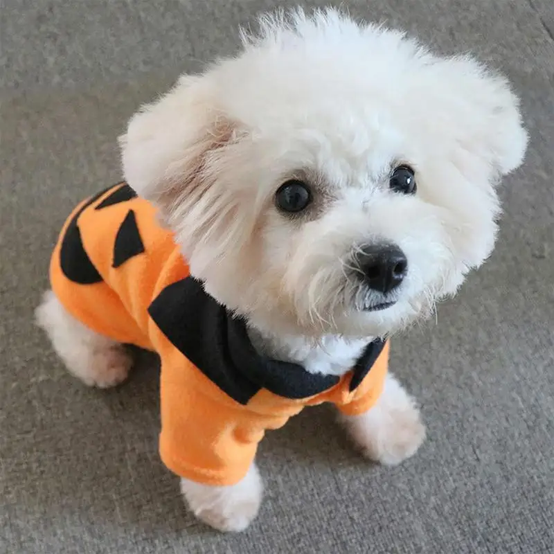 개 코스튬 호박 애완 동물 할로윈 테디스 개 옷, 작은 강아지 강아지 고양이 후드 드레스, 개 코트 및 재킷, 할로윈 애완 동물 의상