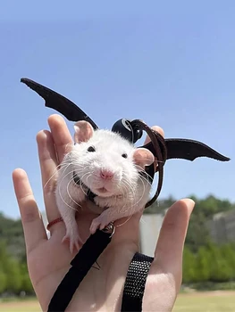 Hamster Leash Harness Strap 1