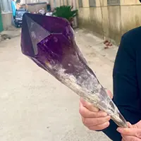 Natural Amethyst Scepter Healing Specimen 1