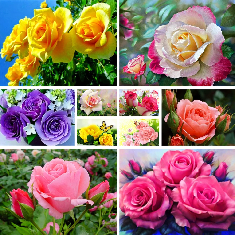 

Rose Flowers DIY Paint By Numbers Kit Acrylic Paints 50*70 Canvas Pictures Home Decor For Kids Handicraft For Drawing Wall Art