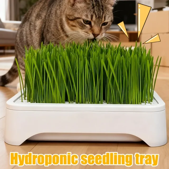 Plastic Grow Nursery Pots Cat Grass Germination Tray Pet Parrot Grass Soilless Hydroponic Bean Seedling Tray Garden Supplies 2