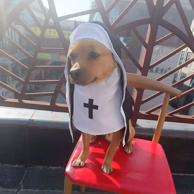 고양이 의상 애완동물 옷 소형견 의류 통기성 재미있는 파티 축제 사진 소품 강아지 액세서리