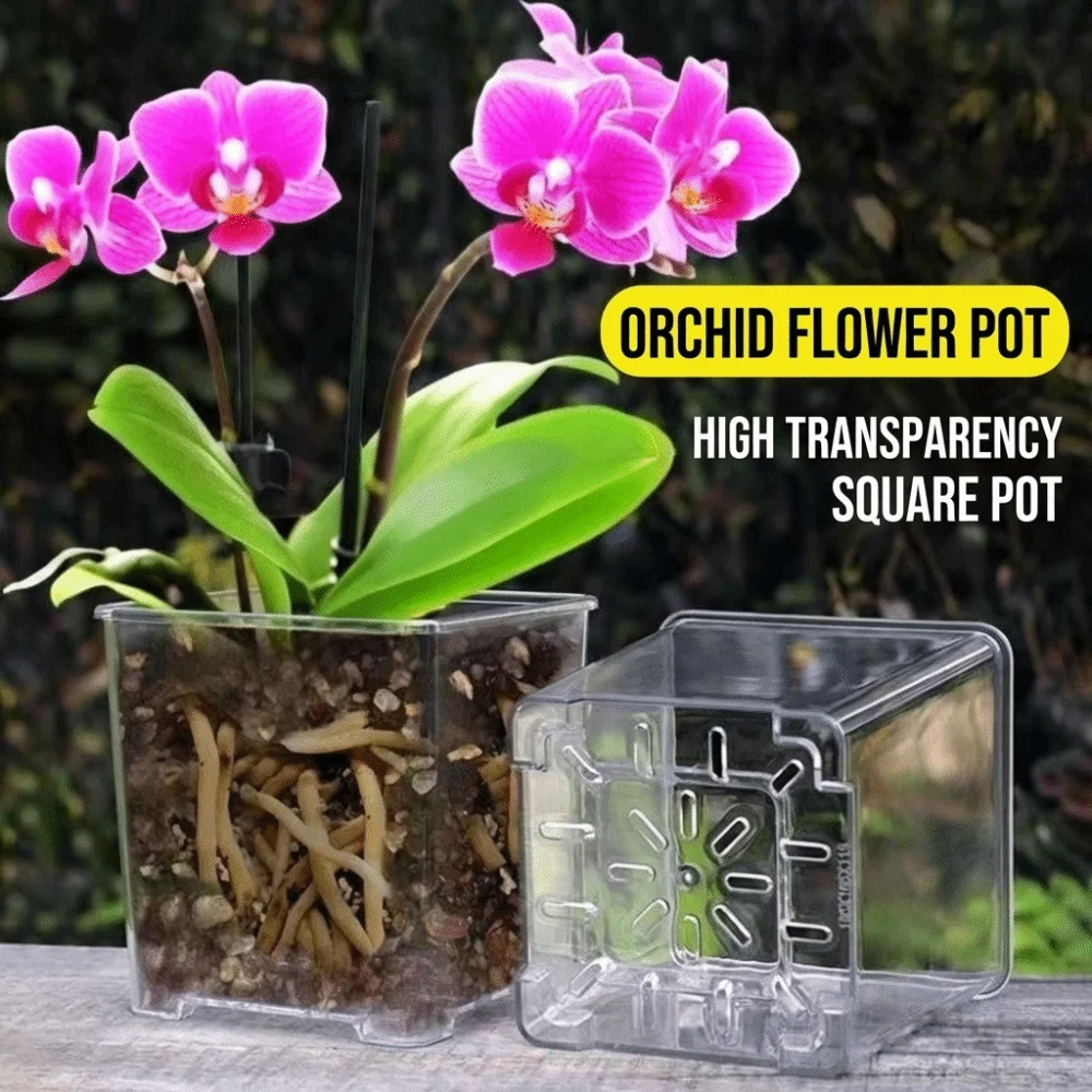 Clear Acrylic Square Planter with Drainage and Breathable Design