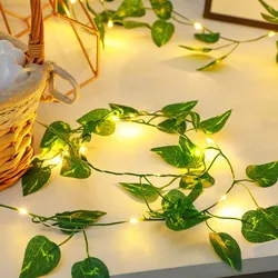 Green Leaf LED Copper Wire String Lights for Indoor Home Decoration (2 m 20 lights)