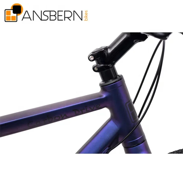Ansbern High End City Bike 7 Speed Belt Drive City Star Bike Bicycle