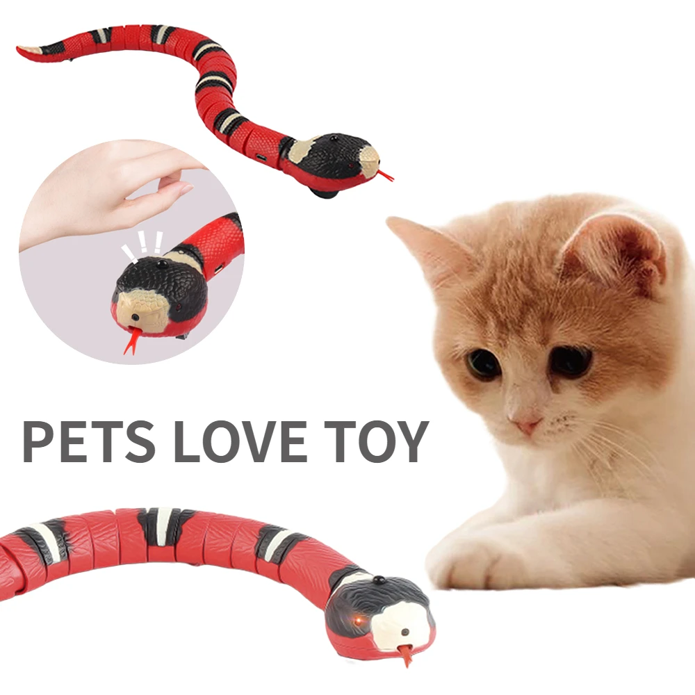 Smart Sensing Interactive Cat Toys Snake Eletrônico Automático, Teasering  Play, USB Recarregável, Kitten Toys for Cats and Dogs - AliExpress