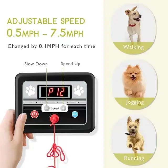 Kingtale Adorable Indoor Dog Exercise Machine Gym Equipment Pet