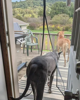 ประตูแม่เหล็กแมลงมุ้งกันยุงผ้าม่านสีดํา Fly แมลงปิดอัตโนมัติตาข่ายที่มองไม่เห็นสําหรับห้องครัวห้องนั่งเล่นในร่ม 2