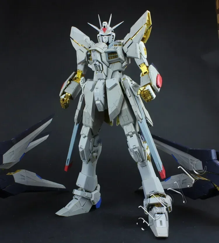for PG 1/60 Strike Freedom UC RECAST ver DC Resin Details
