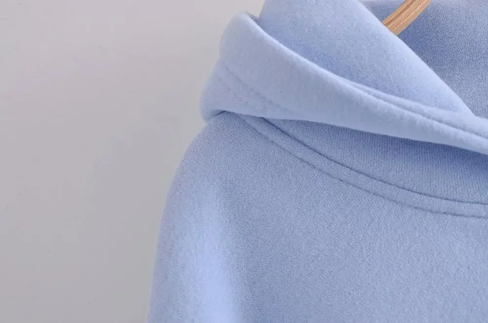 Autumn 2024 New Chest Embroidery Cute Printing Blue Casual Soft Plus Velvet Thick Hooded Short Sports Sweater Drawstring Top