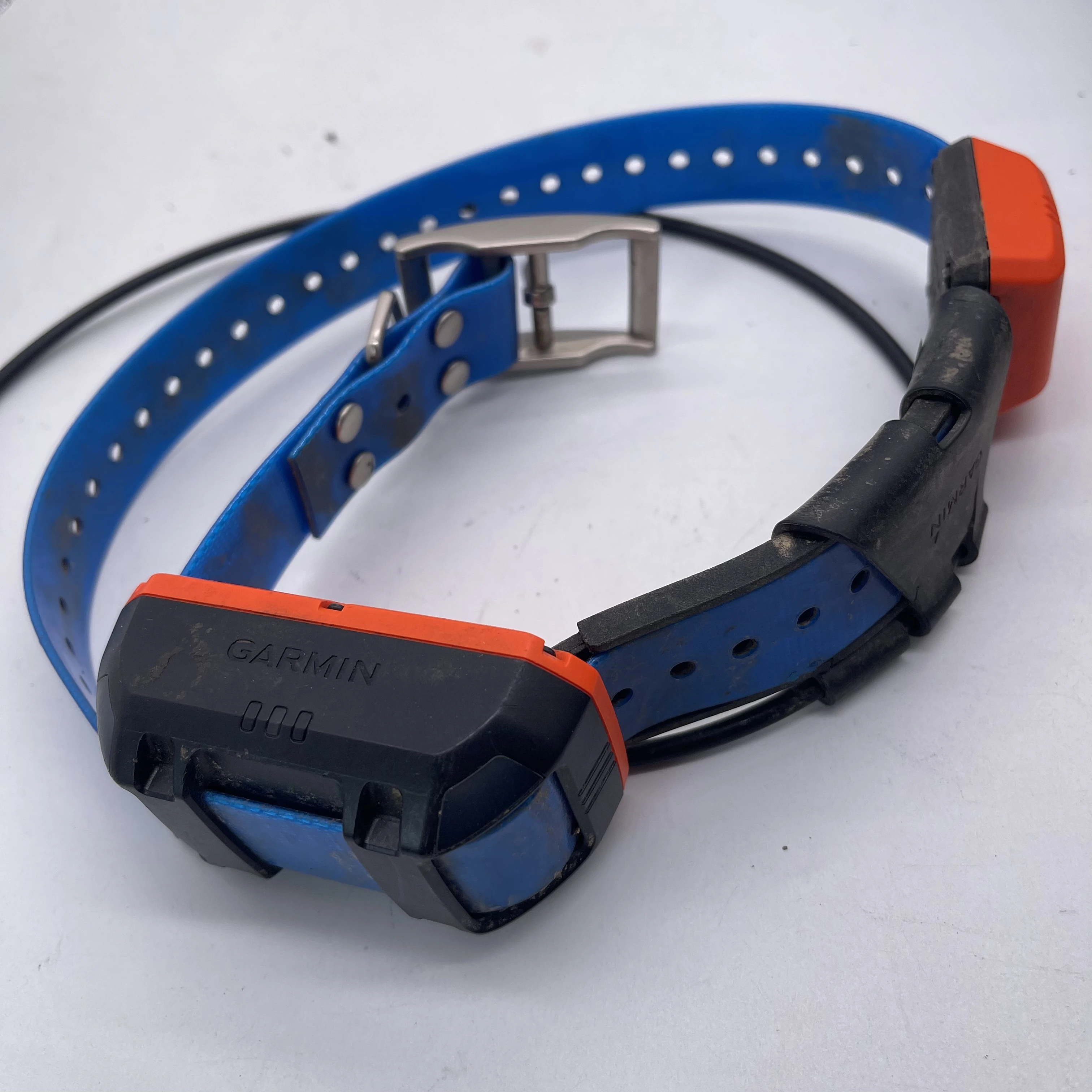 新品！GARMIN T5 GPS首輪【新品】（検索用 ガーミン アストロ DC30 DC40 DC50 ） GARMIN T5 GPS首輪 （検索用 ガーミン アストロ DC30 DC40 DC50）