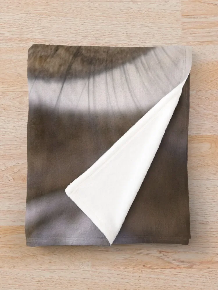 ū �䳢�� ����� ������ ��� ħ��, �ܿ� ħ��� ���� �ε巯�� �÷��� ���� ���� ���