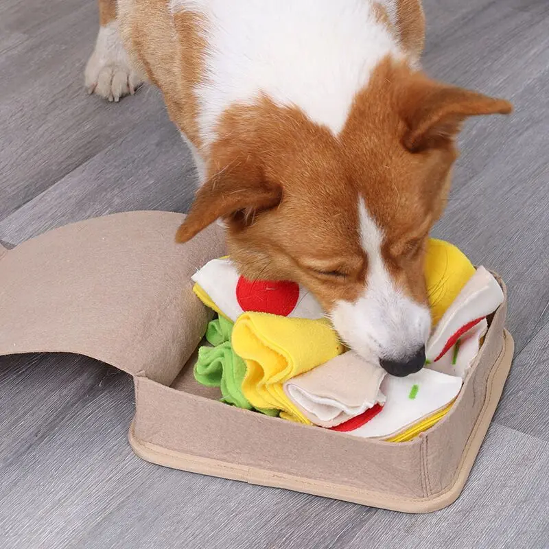 https://ae01.alicdn.com/kf/S35ba8bfaf93c428aaa72473f02c1b4116/Pizza-Box-Shape-of-Dog-s-Sniffing-Educational-Toy-Pet-Nose-Work-Smell-Snuffle-Training-Feeding.jpg
