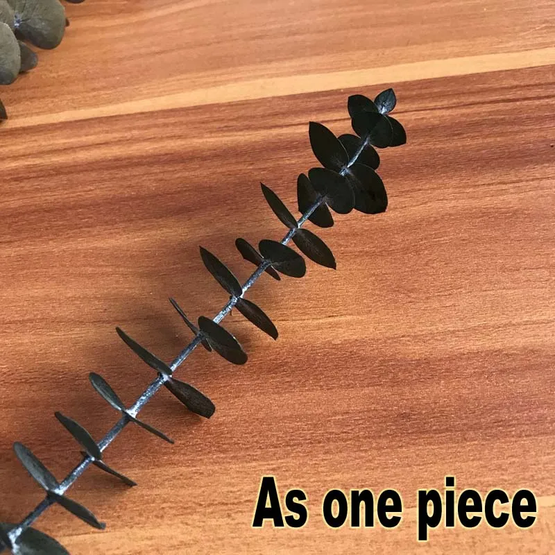 Рисунок 3 - Листья настоящего эвкалипта 10 шт.