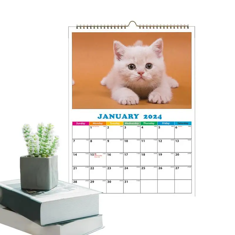 

Animals Calendar 2024 Funny Daily Cat Calendar A4 Wall Calendar Dog Calendar Daily Wall Decor For Apartment Dormitory Classroom