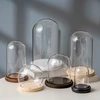 Diameter=9cm Different Height 9*12cm 9*15cm 9*18cm 9*20cm 9*22cm 9*25cm Cylinder Glass Dome EVA Log Base Cover DIY Gift Wedding 5