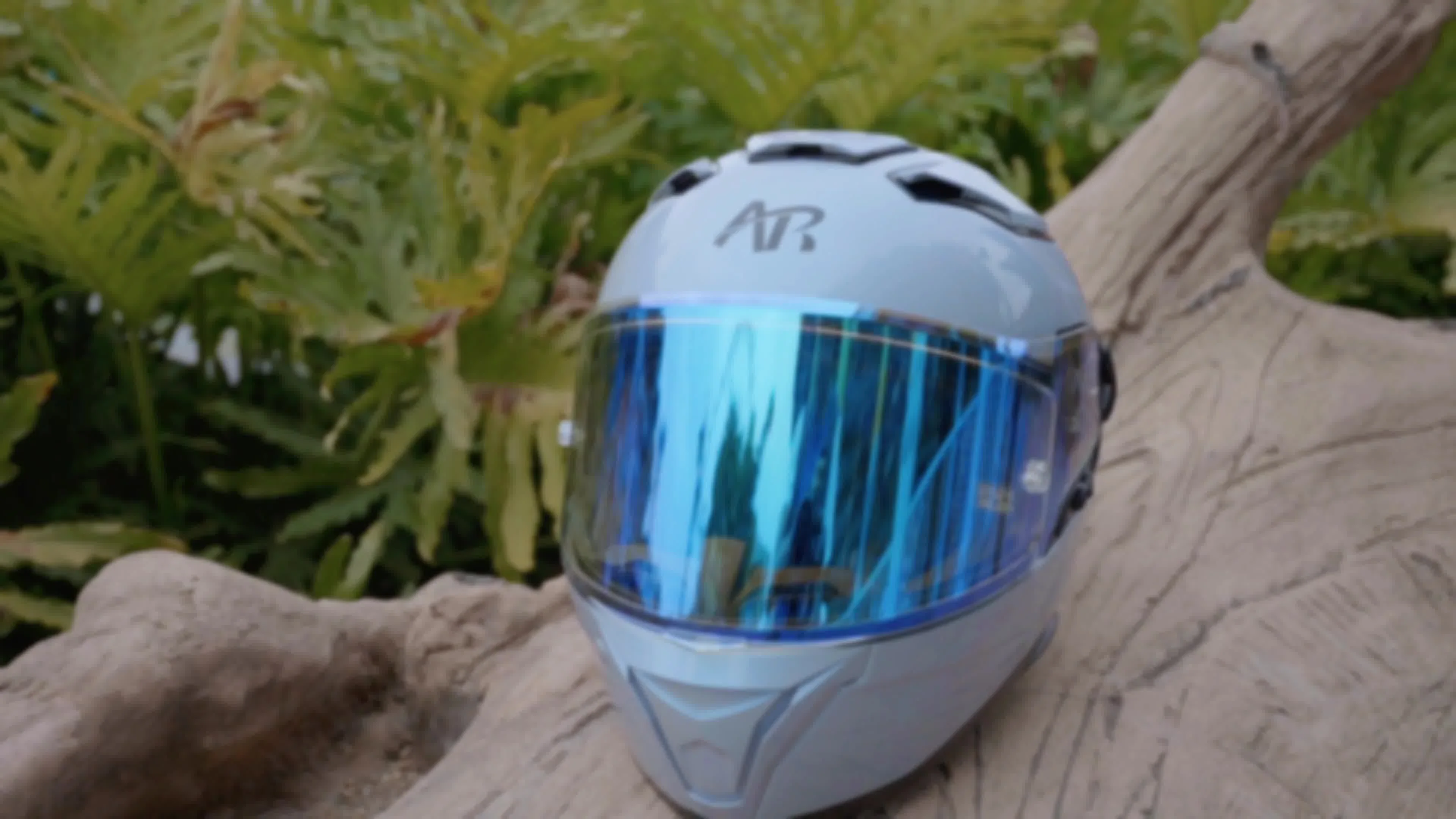 airbrushed motorcycle helmets and motorbikes Hand Painted Motorcycle Helmet, Warrior Skull