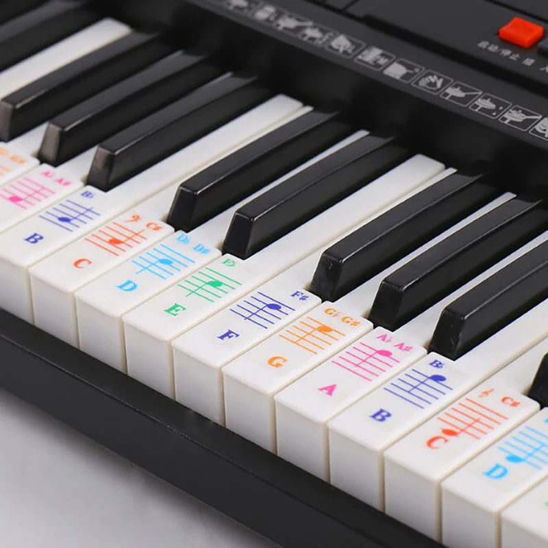 61Key Color Piano Letter Notes Transparent Piano Keyboard Stickers Hand  Roll Detachable Electronic Piano Spectrum Sticker Symbol