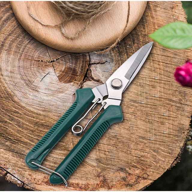 Garden Pruning Shears 190mm - Stainless Steel Blade Trimming Scissors for Bonsai Flower Buds Small Plants Scissor Pruning Tool 3