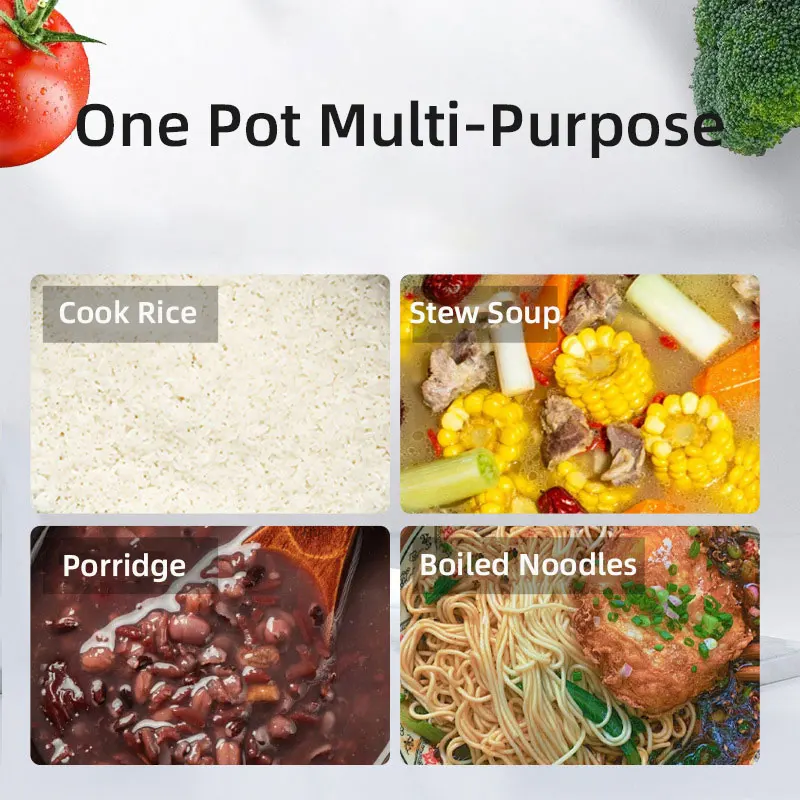 1.0L Mini Rice Cooker,Electric Multicooker Electric Pot,Car Mounted Household 12V 24V 220V EU 3