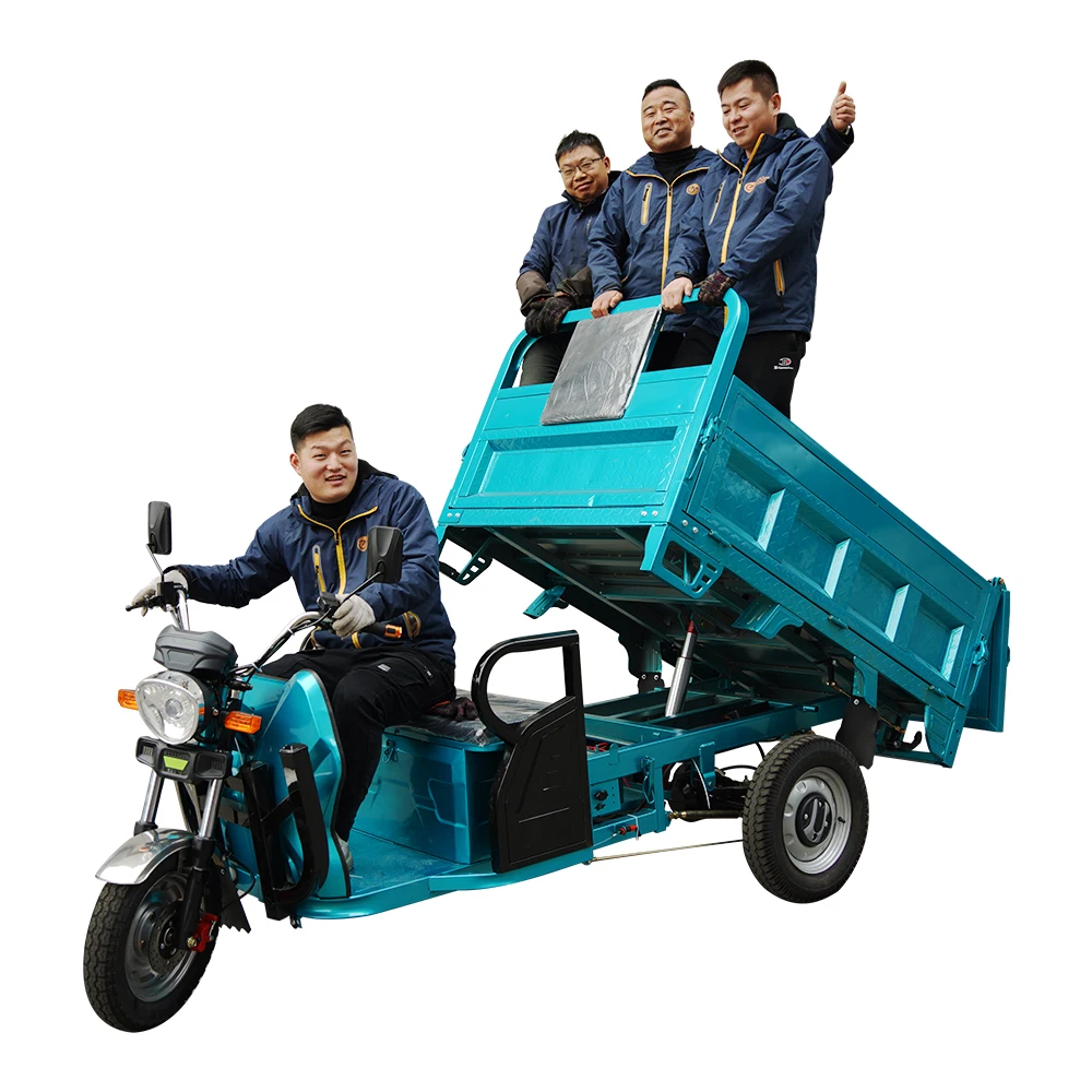 

Electric Tricycles 3-Wheel Electric Cargo Bike with Automatic Lifting Hydraulic Rod Front Disc + Rear Drum Brake