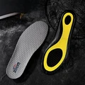 Yellow back grey