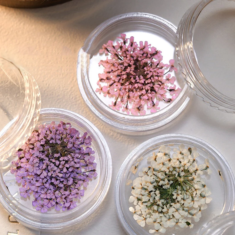 5Pcs/box 3D Dried Flowers Nail Art Decorations Dry Floral Bloom Stickers DIY Manicure Charms Designs For Nails Accessories 5